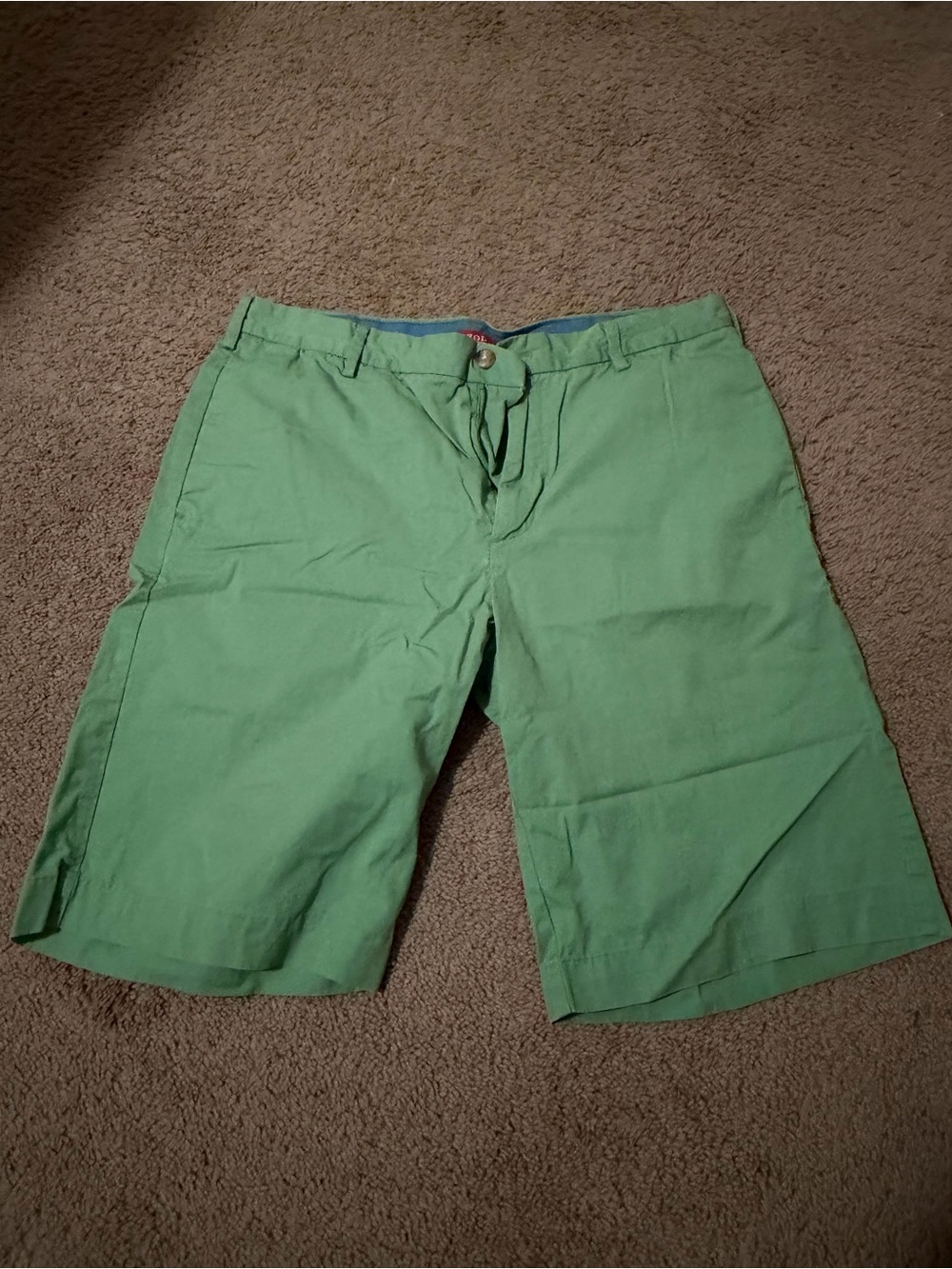 Izod Light Green Cotton Flat-Front Shorts